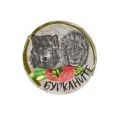 Бурканите