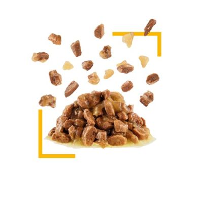 Мокра храна