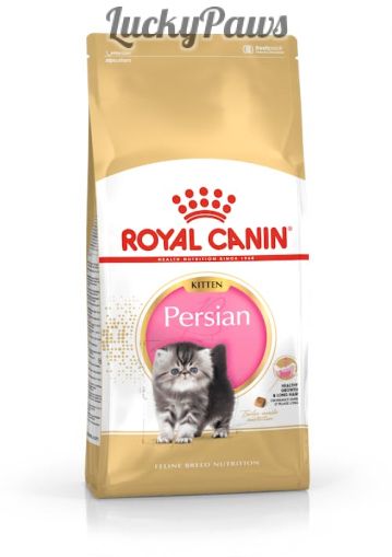 Royal Canin Persian Kitten