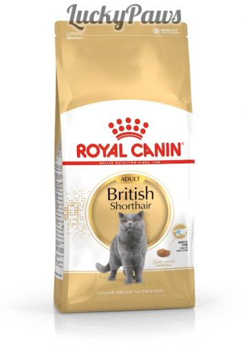 Royal Canin British Shorthair Adult