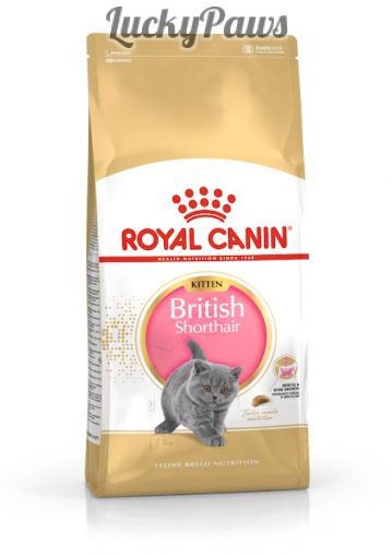 Royal Canin British Shorthair Kitten