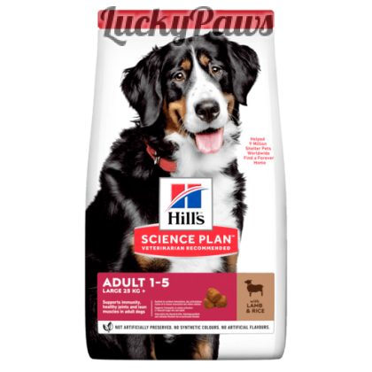 Hill's Science Plan Large Breed Adult - Агнешко