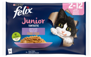 Felix Junior - пауч 4х85 Пиле/Сьомга