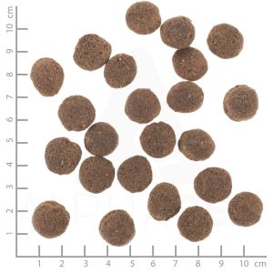 Wolfsblut Hypoallergenic хипоалергенна храна за кучета с конско месо, 2 кг