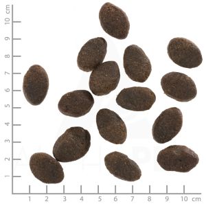 Wolfsblut Wild Pacific Adult храна за кучета с дива тихоокеанска риба и картофи, 12.5 кг