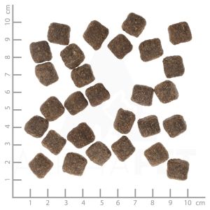 Wolfsblut Dark Forest Small Breed храна за дребни породи кучета с дивечово месо и сладки картофи, 2 кг